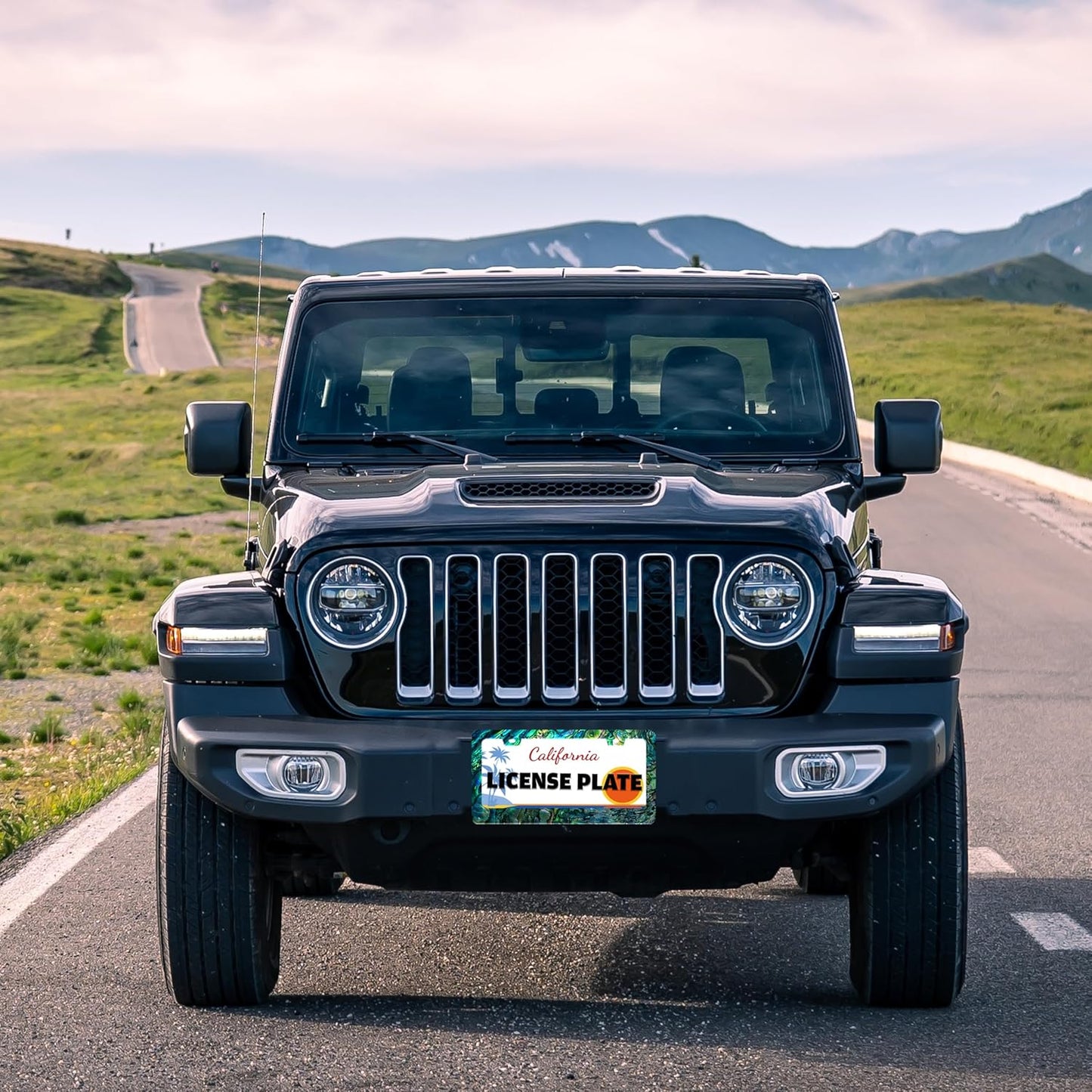 Faux Abalone License Plate Frame Funny Stainless Steel License Plate Holder for Front or Rear Car Tags for Car Decoration Accessories Rust-Proof with Screws 6.3 X 12.2 in for Women Men