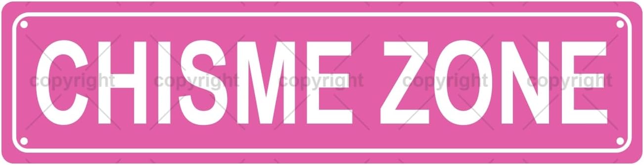 CHISME ZONE Space Metal Tin Street Sign Bar Cafe Garage Cave Home Room Wall Bathroom Farmhouse Garden Porch Patio Decor, 16 x 4 Inch