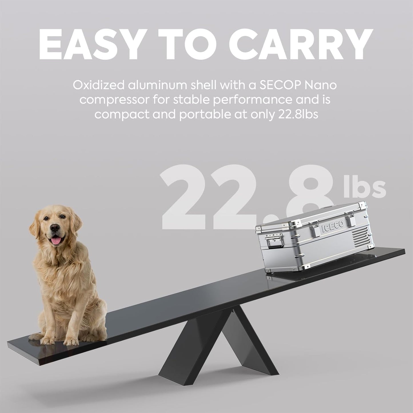 ICECO APL20 12 Volt Car Refrigerator, 21 Qts Light Duty Aluminum 12V Portable Fridge Freezer, Electric Cooler with SECOP Nano Compressor, -4℉~68℉, 12/24V DC, 100-240V AC for RV, Truck, Camping