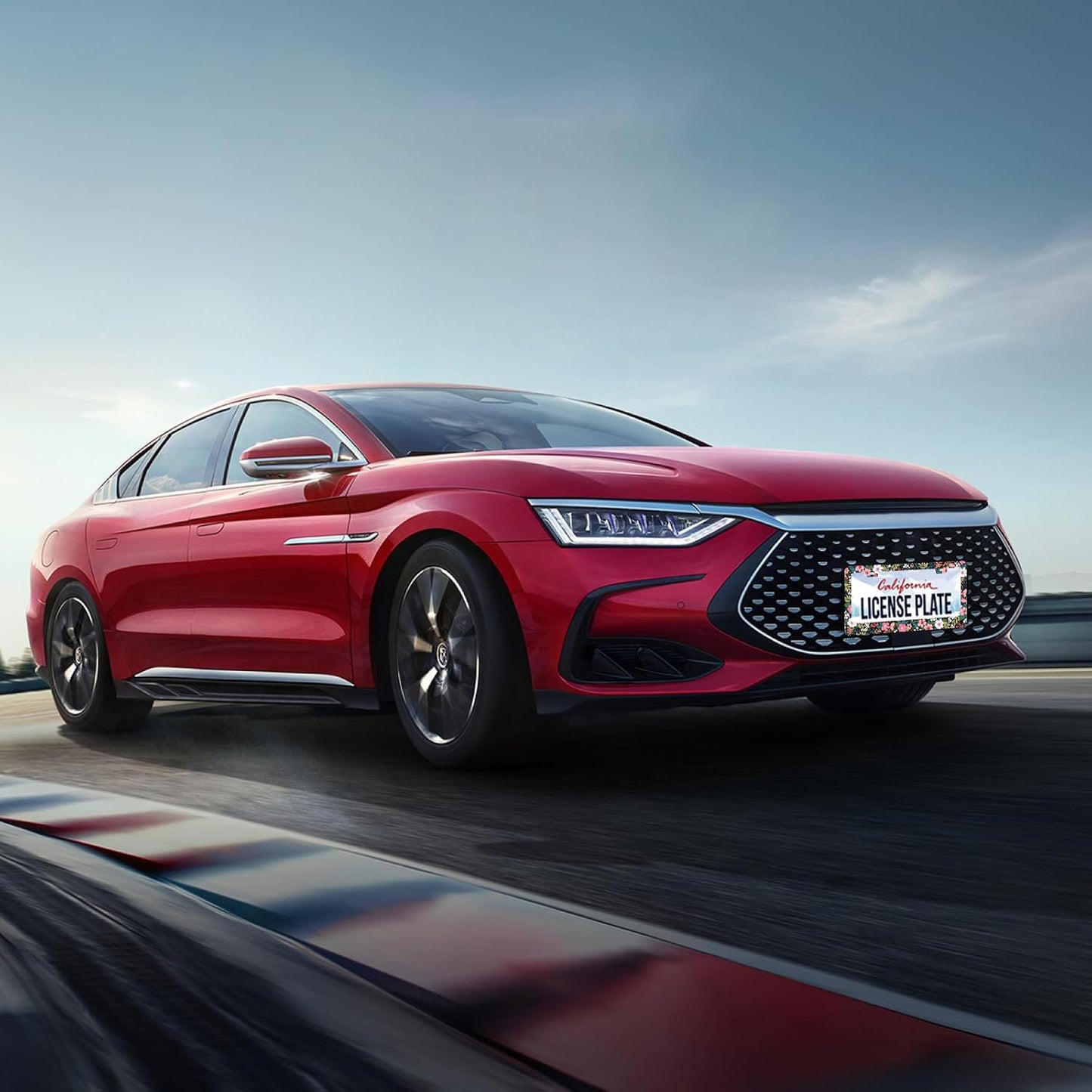 Folk Art Flowers License Plate Frame Beautiful Floral License Plate Holder Funny Personalise Car Stainless Stee Decorative Parts for Standard Us Canada Vehicles 12x6 Inch for Women Men