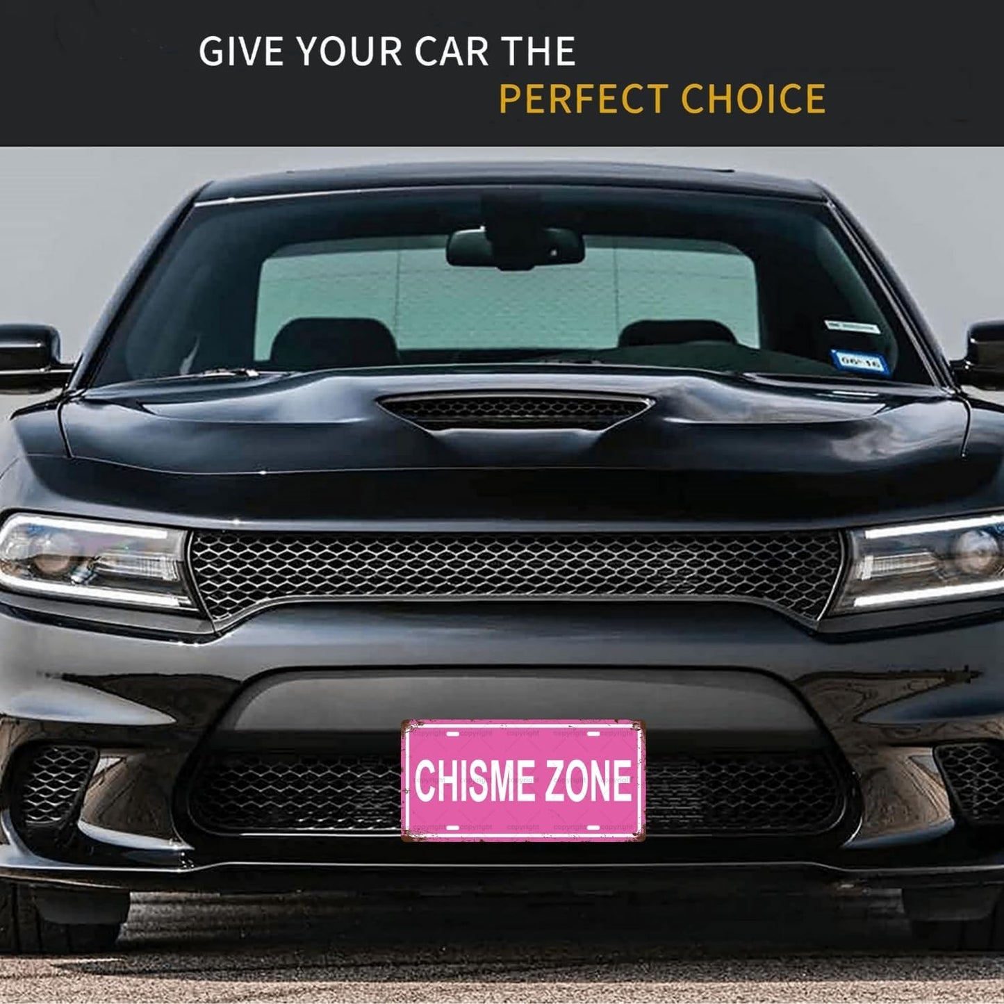 CHISME ZONE Space Vintage Metal Tin Sign License Plate Bar Cafe Garage Cave Home Room Wall Bathroom Farmhouse Garden Porch Patio Decor, 12 x 6 Inch