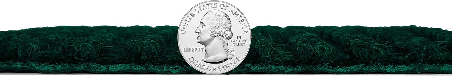 KOECKRITZ Heavy Duty Durable All Weather Indoor/Outdoor Non Slip Entrance Mat Rugs and Runners for Office Business Building Home Garage Front Door (4' x 6', Green)