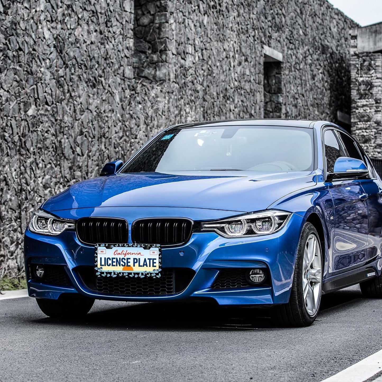 Blue Flower Butterfly License Plate Frames - 2 Pack Beautiful Butterfly Stainless Steel License Plate Holder,Rust-Proof Waterproof Car Decorative Tag Frame with Screws Fasteners Caps