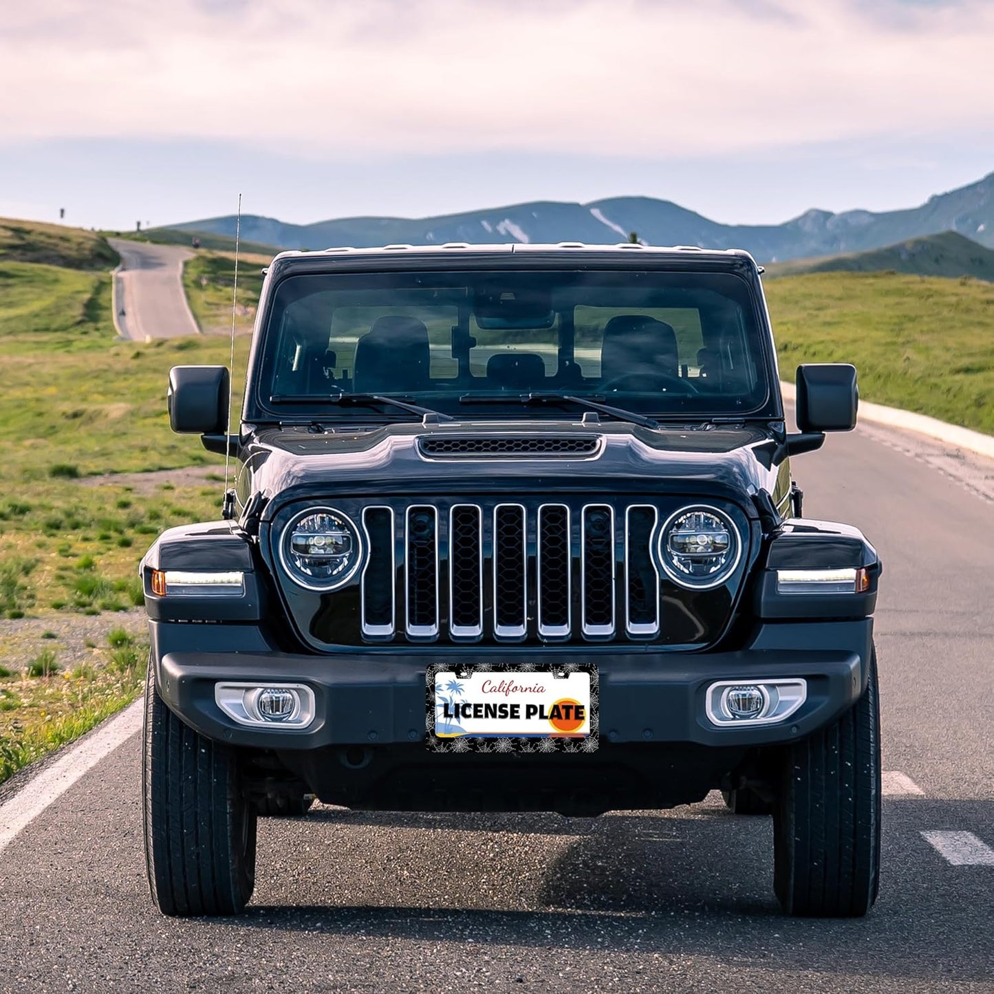 Spider Web License Plate Frame Gothic Style License Plate Holder Halloween for Front or Rear Car Tags Reusable Stainless Steel Funny Car Decoration with Screws 6.3 X 12.2 in